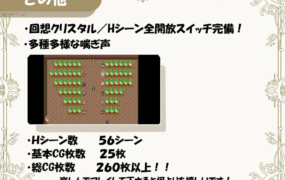 [精品RPG机翻CV]メス堕ち若妻～夫に内緒でネトラレH 堕落的人妻～背着丈夫做出背叛的H～[电脑1.18G/FM/BD]